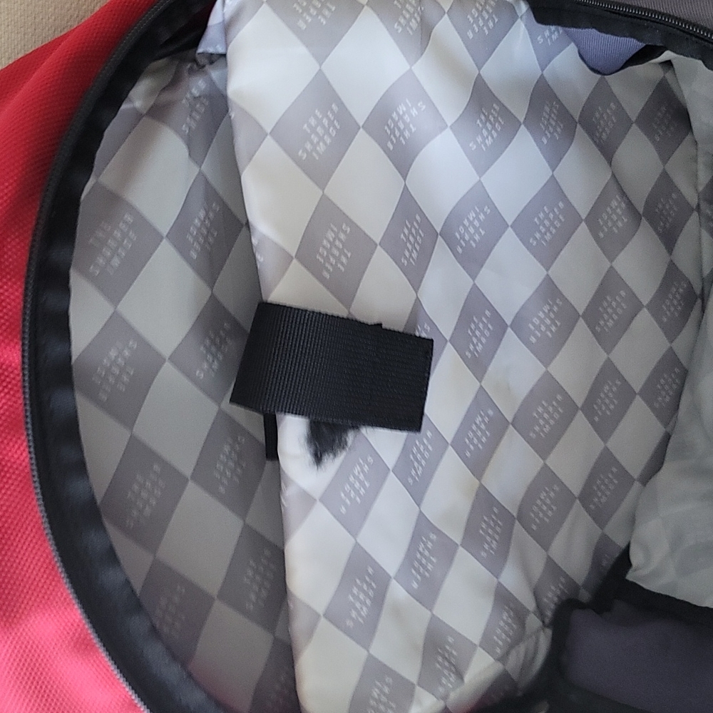 Sharper Image Backpack View 2